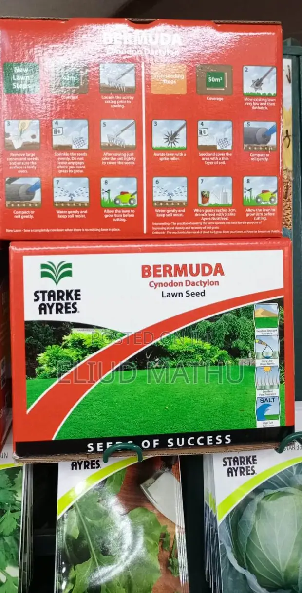 Seedling Grass (Bamuda) 1kg